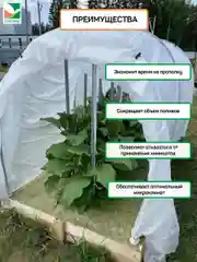 Комплект для баклажанов Агротекс
