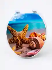Сиденье для унитаза мягкое Морская Звезда с креплениями 20985577