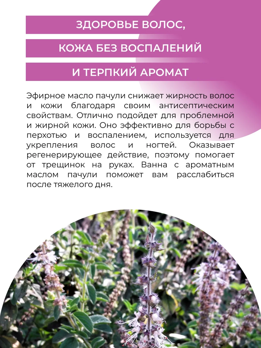 Эфирное масло пачули Siberina