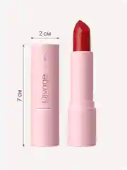 Помада Для Губ Divage Lipstick Praline тон 12