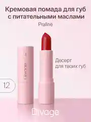 Помада Для Губ Divage Lipstick Praline тон 12