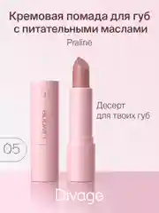 Помада Для Губ Divage Lipstick Praline тон 5