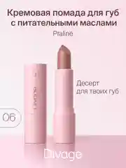 Помада Для Губ Divage Lipstick Praline тон 6