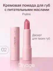 Помада для губ Divage Lipstick Praline тон 2