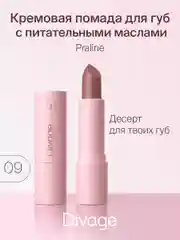 Помада для губ Divage Lipstick Praline, тон 9