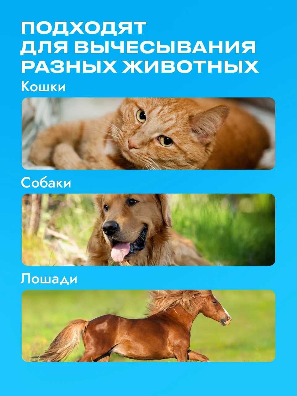 Черный расческа для кошек и собак SSY, перчатка рукавица для вычесывания шерсти животных