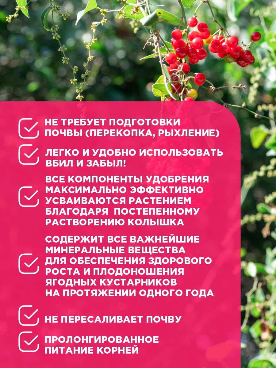 Удобрение Био-комплекс для плодово-ягодных кустарников (колышки), 420 г