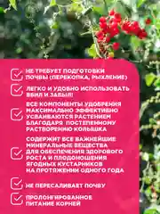 Удобрение Био-комплекс для плодово-ягодных кустарников (колышки), 420 г
