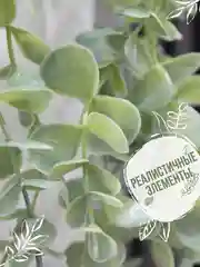 Бирюзовый искусственное растение эвкалипт в горшке вьющееся декоративное лиана