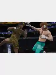 Игра UFC 4 PS4, диск на PS4, диск на PS5, игры на PS4, Русские субтитры / Интерфейс