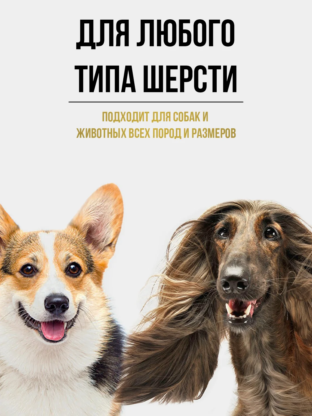 Машинка для стрижки собак и кошек, набор бритва триммер для ухода за шерстью животных