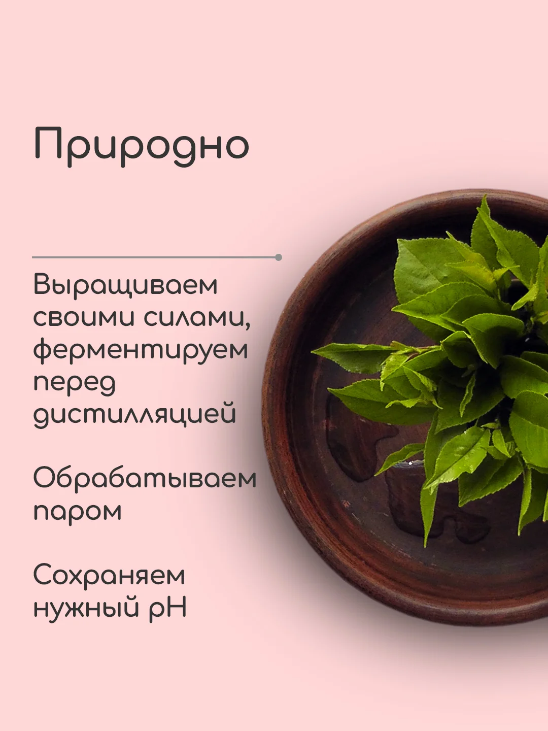 Гидролат Вишня, тоник для любого типа кожи, craftzabota 100 мл