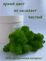 Мох стабилизированный для декора,кашпо