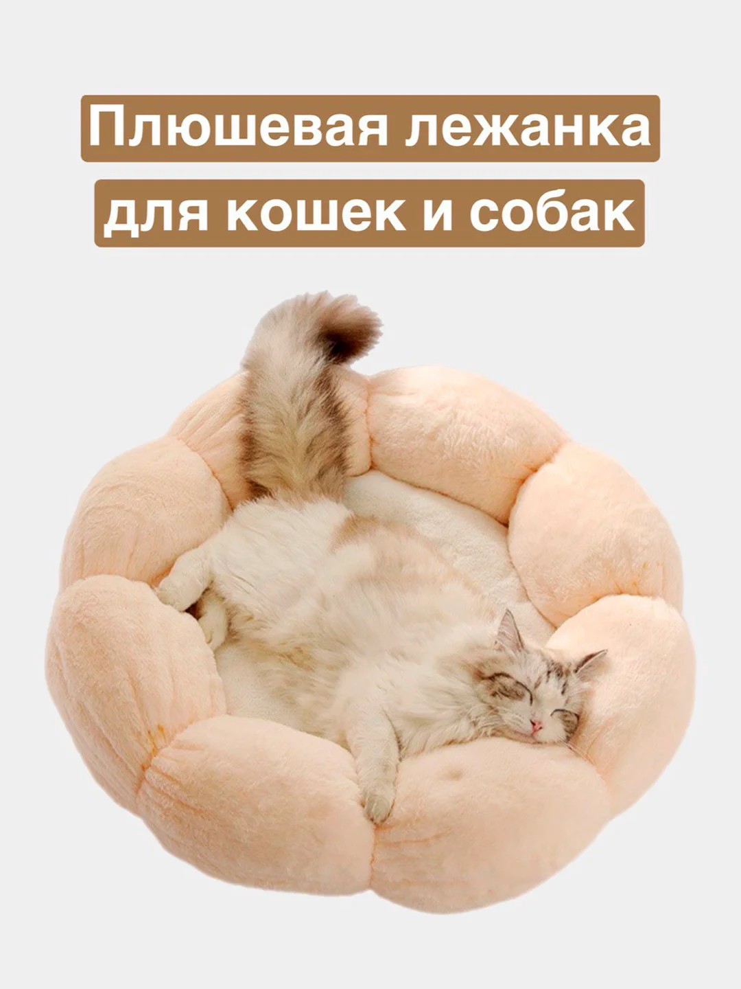 Кремовый лежанка для кошек и собак