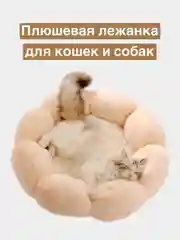 Кремовый лежанка для кошек и собак