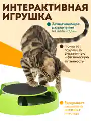 Салатовый игрушка дразнилка для кошек, котят Поймай Мышку. Интерактивная мышка, напольная когтеточка