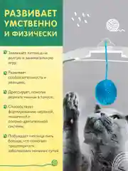 Салатовый игрушка для кошек дразнилка 2в1 "Помпон". Чесалка для котят интерактивная