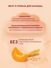 Каша детская Винни молочная пшеничная с тыквой с пребиотиками, с 5 месяцев, 200 г