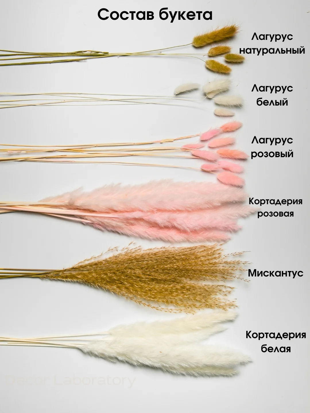 Белый сухоцветы для декора