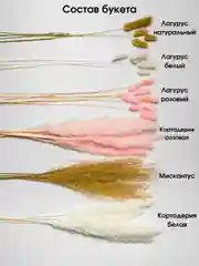 Белый сухоцветы для декора