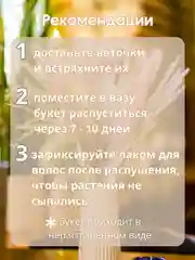 Белый сухоцветы для декора