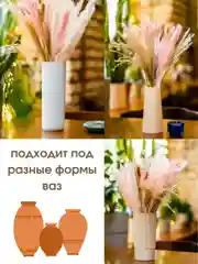 Белый сухоцветы для декора