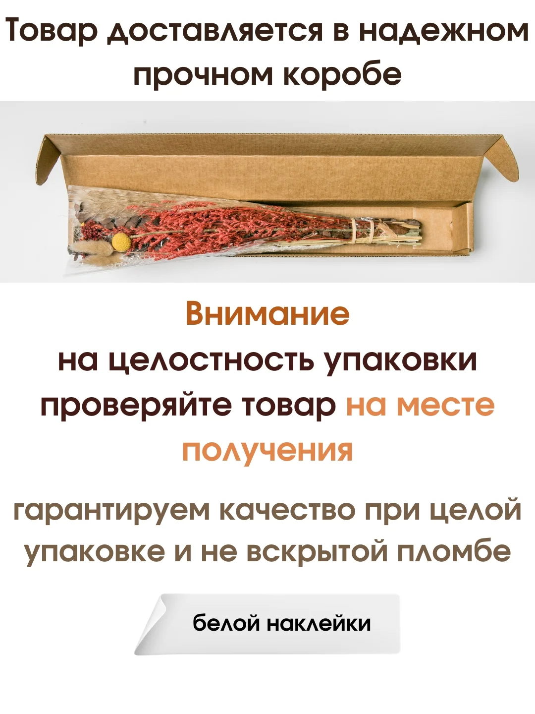 Белый сухоцветы для декора
