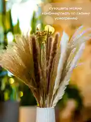 Бежевый сухоцветы для декора