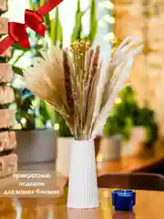 Бежевый сухоцветы для декора