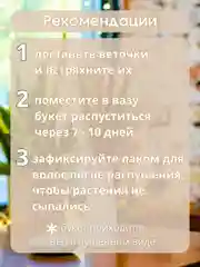 Бежевый сухоцветы для декора