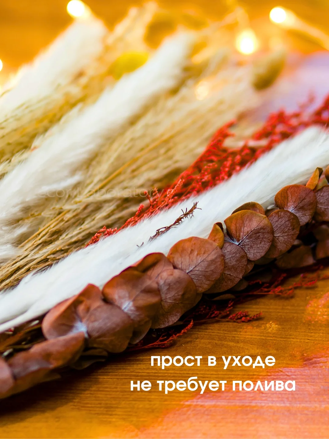 Алый сухоцветы для декора