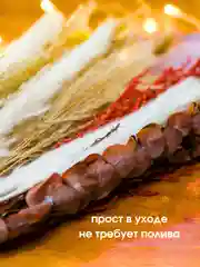 Алый сухоцветы для декора