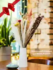 Алый сухоцветы для декора