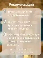 Алый сухоцветы для декора