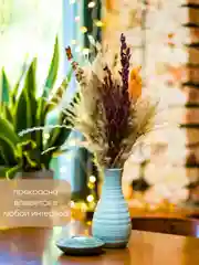 Белый сухоцветы для декора