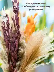 Белый сухоцветы для декора