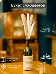 Белый сухоцветы для декора