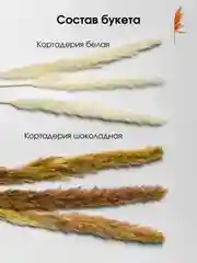 Белый сухоцветы для декора