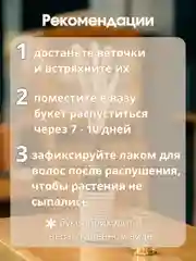 Белый сухоцветы для декора