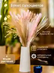 Светло-оранжевый сухоцветы для декора