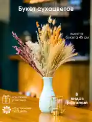 Светло-оранжевый сухоцветы для декора
