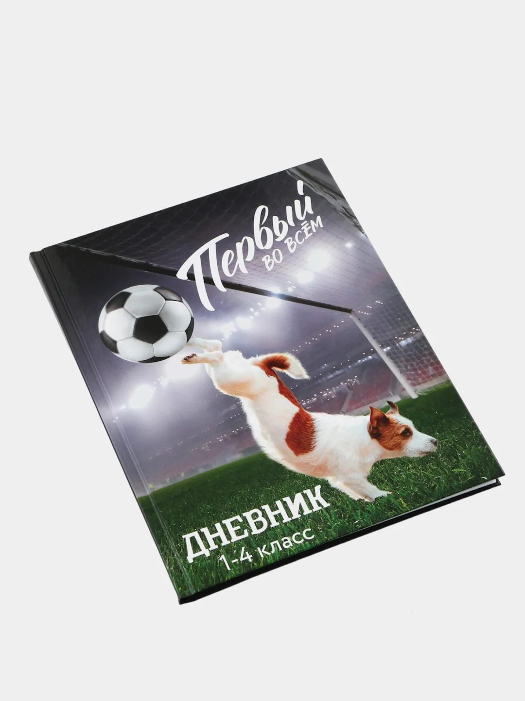 Терракотовый дневник школьный, для 1-11 классов, в твёрдой обложке