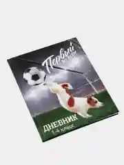 Терракотовый дневник школьный, для 1-11 классов, в твёрдой обложке