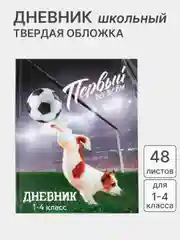 Терракотовый дневник школьный, для 1-11 классов, в твёрдой обложке