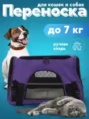Фиолетовый сумка переноска, с лежанкой, для кошек и маленьких собак