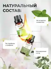 Набор натуральных эфирных масел, 8 шт,  для увлажнителя воздуха/бани/косметических средств