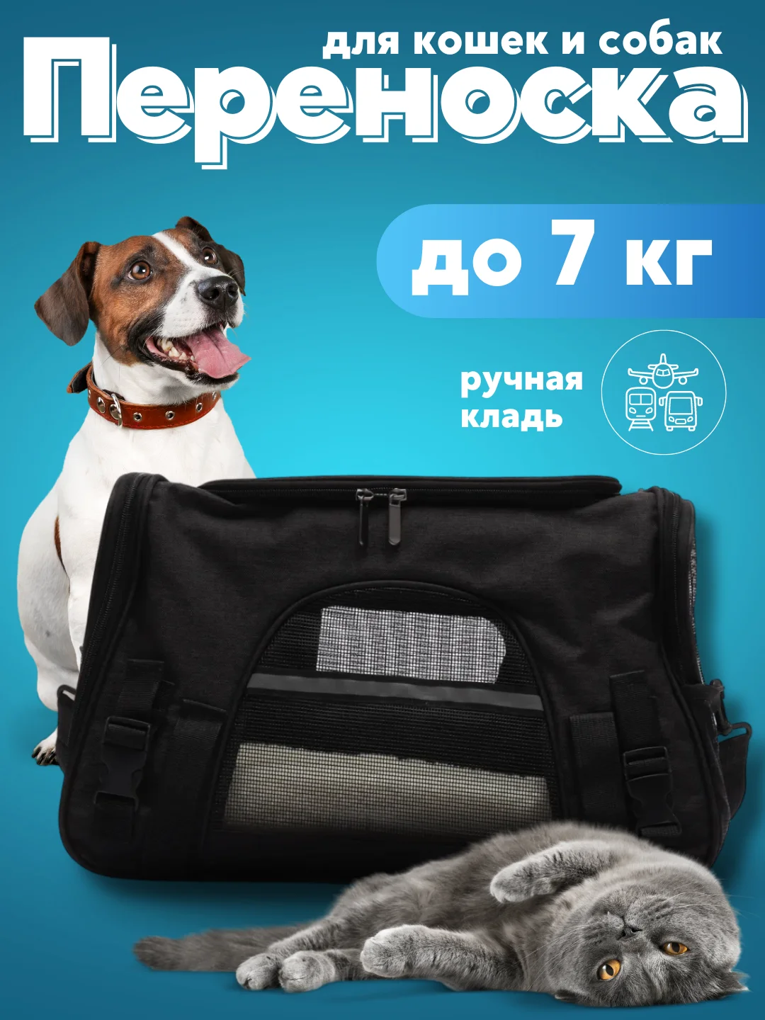 Черный сумка переноска, с лежанкой, для кошек и маленьких собак