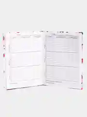 Конфетный дневник школьный, для 1-11 классов, в твёрдой обложке