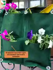 Вертикальная грядка Агротекс 50*50 см 4 кармана