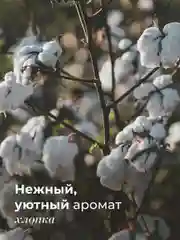 Дезодорант спрей  для тела и ног 50 мл, Pravilnaya Kosmetika